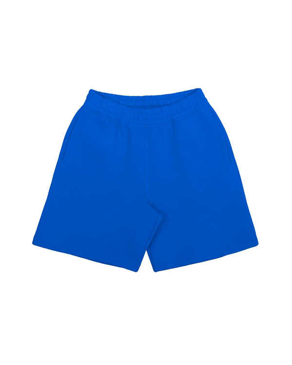 DISC BAGGY SHORTS COBALT