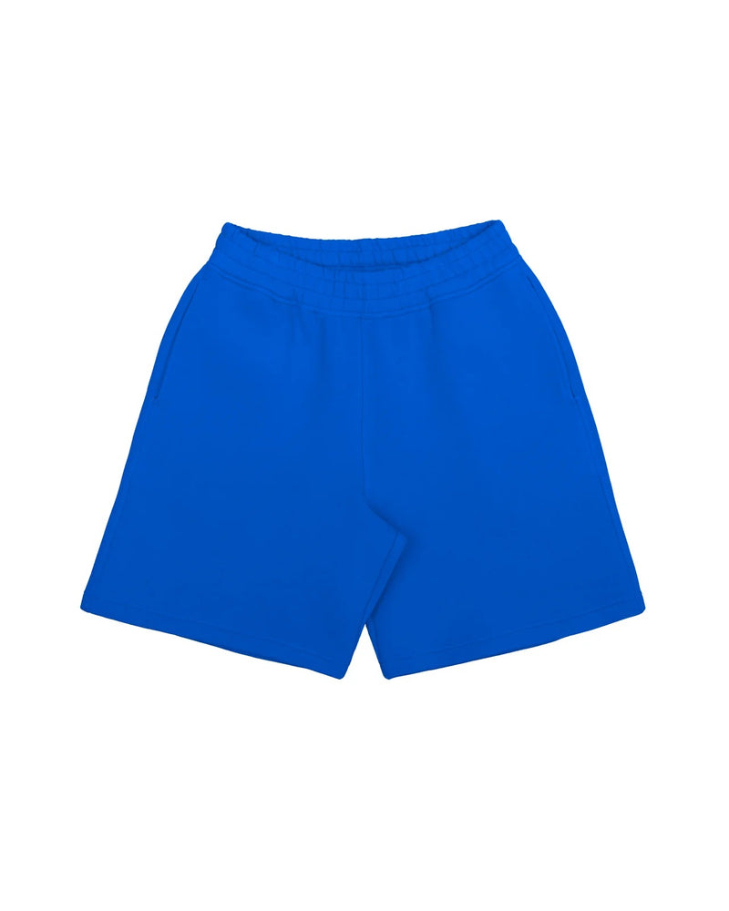 DISC BAGGY SHORTS COBALT